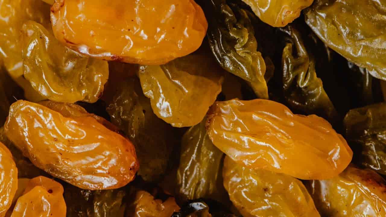 قیمت خرید کشمش تیزابی با فروش عمده